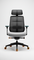 Ergonomic Chair with Dynamic Lumbar Support